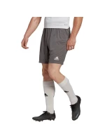 Pánské šortky Entrada 22 M H57505 - Adidas