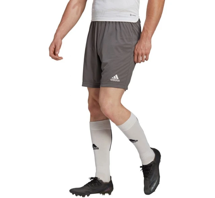 Pánské šortky Entrada 22 M H57505 - Adidas