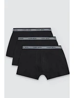 PÁNSKÉ BOXERKY 3PACK model 22044654 - Ysabel Mora