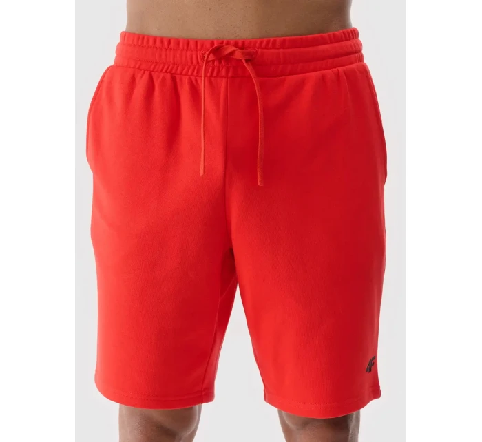 Pánské kraťasy 4F