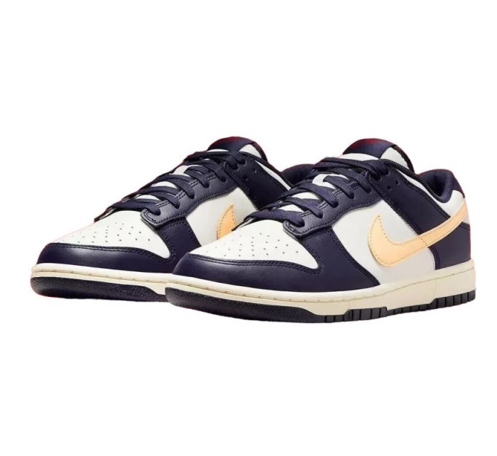 Pánské boty Nike Dunk Low Retro FV8106-181 Pánské boty Nike Dunk Low Retro FV8106-181