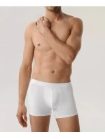 Boxerky model 20942900 Bamboo A'2 - Atlantic