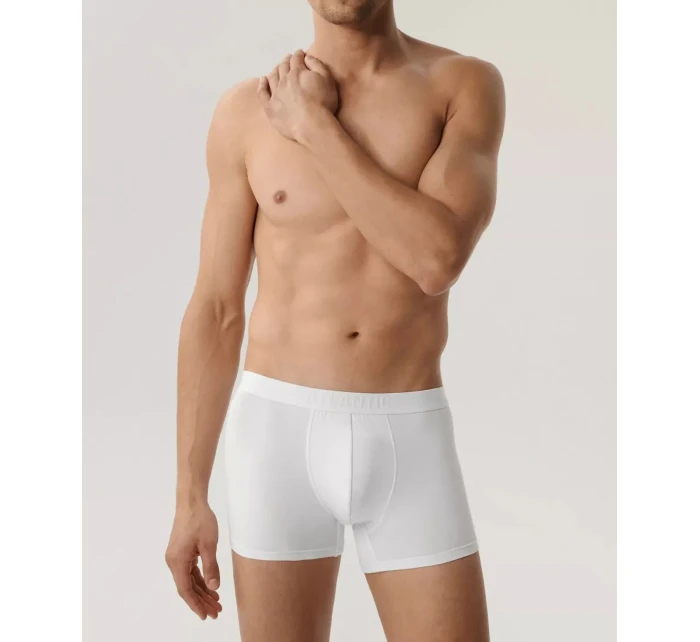 Boxerky model 20942900 Bamboo A'2 - Atlantic