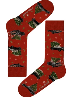 Dámské ponožky John Frank WJFLSFUN-CH64