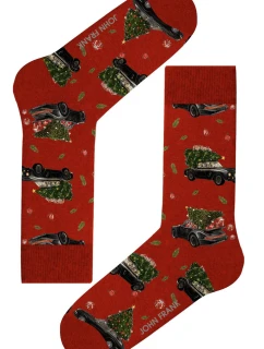 Dámské ponožky John Frank WJFLSFUN-CH64