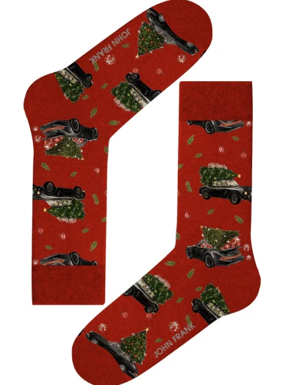 Dámské ponožky John Frank WJFLSFUN-CH64