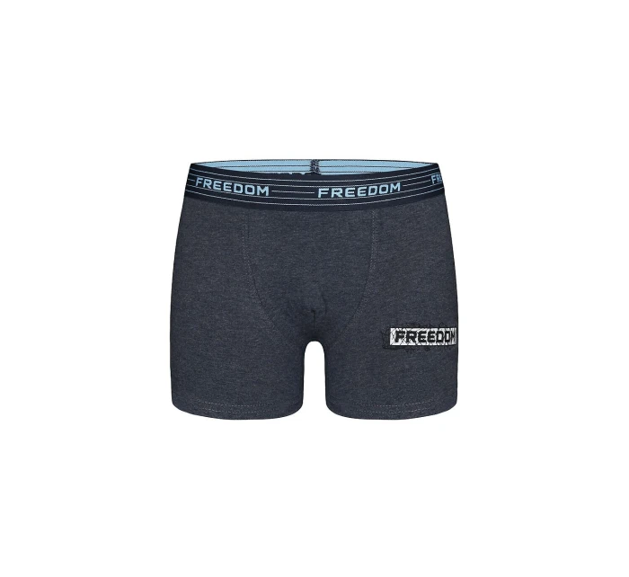 Boys  boxerky model 21339413 - Donella