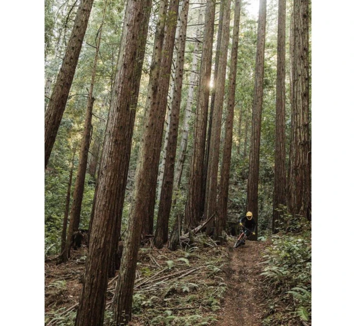 Chránič hrudníku a zad POC VPD