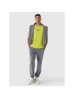 Pánské tričko s potiskem model 21432616 pánské - 4F Pánské tričko s potiskem model 21432616 pánské - 4F