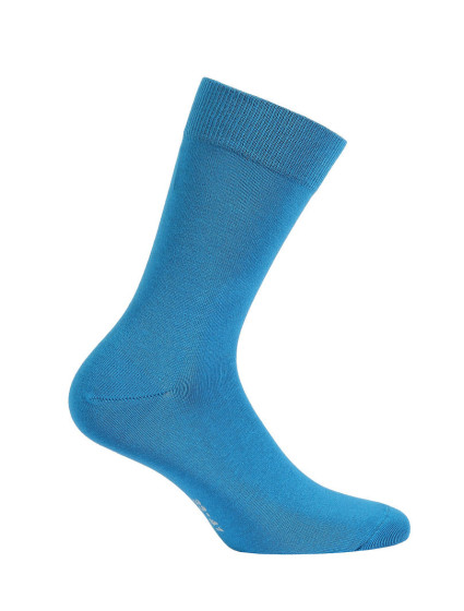Hladké pánské ponožky  model 7509403 - Wola