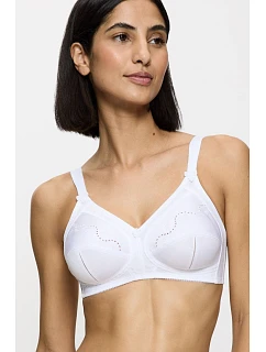 Soft model 229353 Triumph