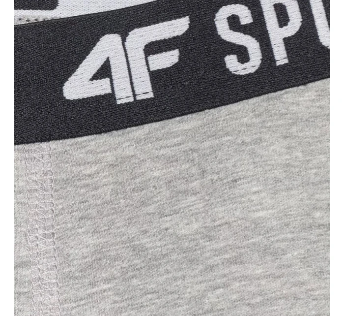 Chlapecké boxerky 4F M061 3ks vícebarevné 4FJWAW25UBXSM061 90S Chlapecké boxerky 4F M061 3ks vícebarevné 4FJWAW25UBXSM061 90S