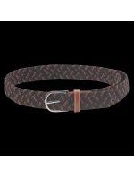 model 21352678 - Iguana