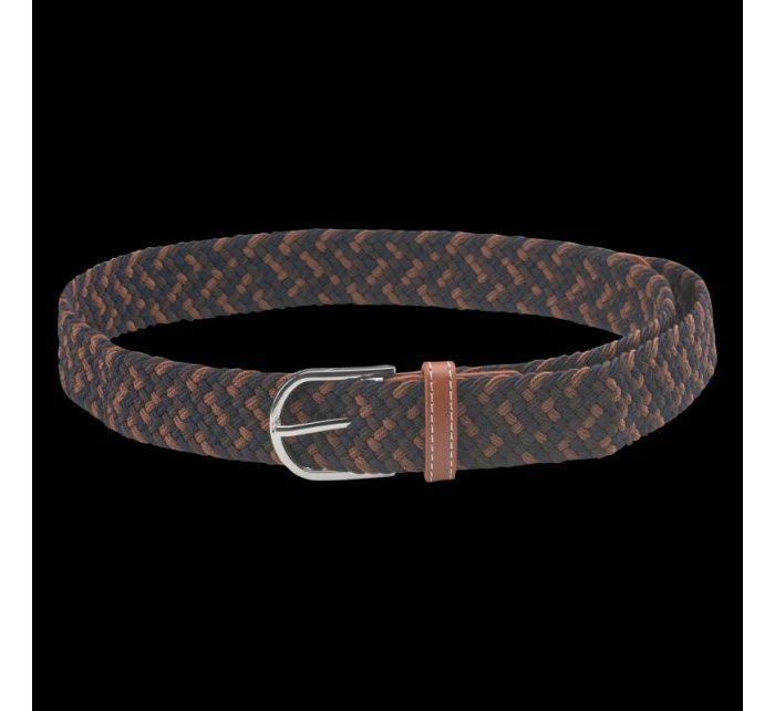 model 21352678 - Iguana