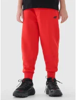 Chlapecké tepláky 4F Chlapecké tepláky 4F