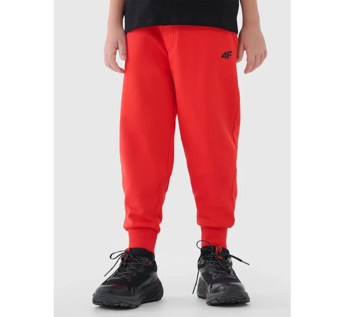 Chlapecké tepláky 4F Chlapecké tepláky 4F