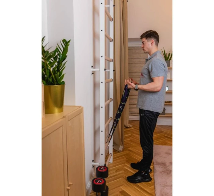 DŘEVĚNÉ KOVOVÉ GYMNASTICKÉ ŽEBŘINY BENCHK 700W DŘEVĚNÉ KOVOVÉ GYMNASTICKÉ ŽEBŘINY BENCHK 700W