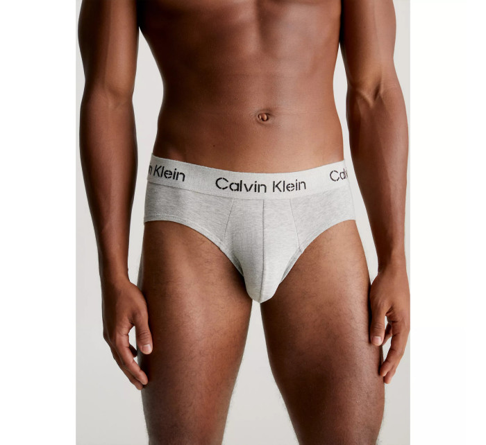 Pánské spodní prádlo HIP BRIEF 3PK 000NB3704AKDX - Calvin Klein