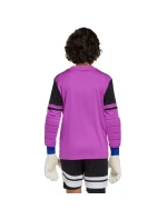 Adidas Squadra 25 Juniorské brankářské tričko s dlouhým rukávem JJ1939 Adidas Squadra 25 Juniorské brankářské tričko s dlouhým rukávem JJ1939