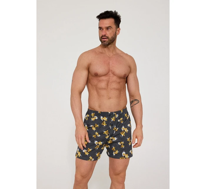 Pánské trenýrky Cornette 011/187