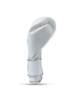 Boxerské rukavice z přírodní kůže s výplní Legacy Series | DBX model 21754423 - DBX Bushido Boxerské rukavice z přírodní kůže s výplní Legacy Series | DBX model 21754423 - DBX Bushido