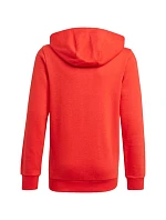 Dětská mikina Essentials Big Logo Hoodie Jr GN4037 - Adidas