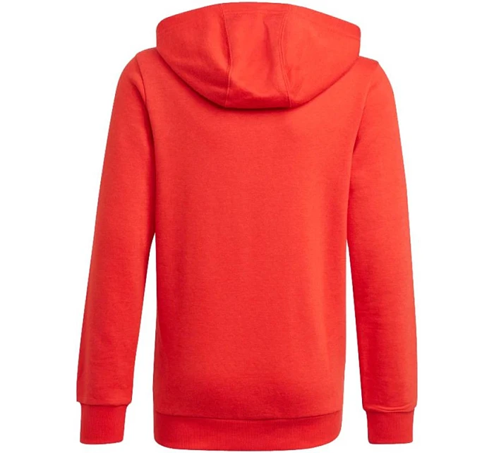Dětská mikina Essentials Big Logo Hoodie Jr GN4037 - Adidas