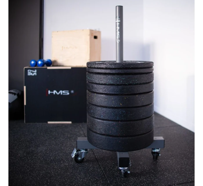 STR32 KOMERČNÍ NOSIČ HMS