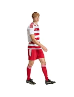 Pánské tričko adidas Hooped 26 Jersey red and white KF3388 pánské