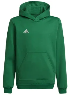 Dětská fotbalová mikina Entrada 22 Hoody Y Jr model 17175890 - ADIDAS