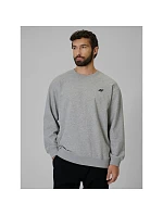 Pánská mikina z fleece, regular střih, bez kapuce, 4F 4FRMM00TSWSM3059-27M