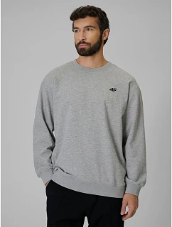 Pánská mikina z fleece, regular střih, bez kapuce, 4F 4FRMM00TSWSM3059-27M