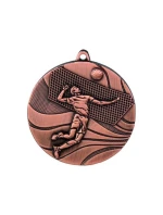 bronzová medaile - volejbal