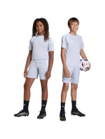 Dětské šortky adidas Tiro 26 League Training Grey JY7149