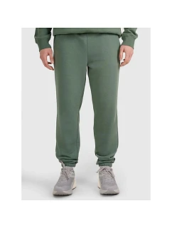 Pánské tepláky model 22071419 - 4F