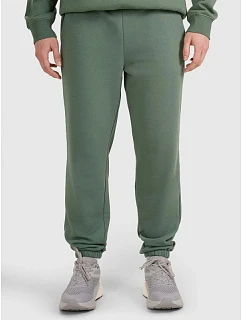 Pánské tepláky model 22071419 - 4F