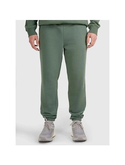 Pánské tepláky model 22071419 - 4F