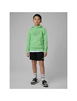 Chlapecká mikina s kapucí 4F 4FJRSS26TSWSM2748-41S dětská