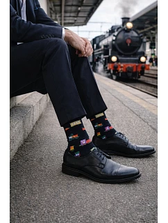 Pánské ponožky model 22044278 - Milena