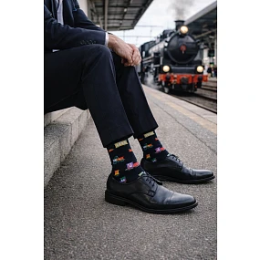 Pánské ponožky model 22044278 - Milena