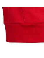 Mikina adidas Colorblock Fleece Hoodie Jr HC5657