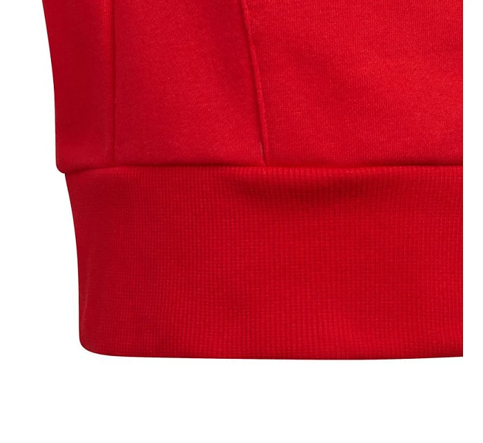 Mikina adidas Colorblock Fleece Hoodie Jr HC5657