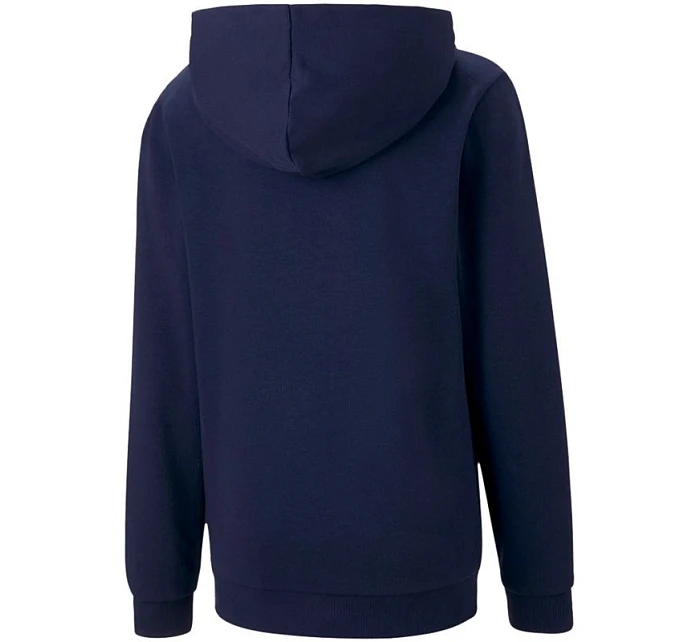 Dětská mikina teamGOAL 23 Casuals Jr model 16171422 06 - Puma