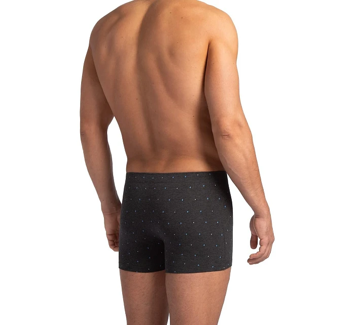 boxerky model 22106535 SZ A'2 3XL4XL - Lama