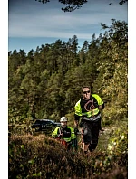 ProJob 6120 Sweatshirt HV Bezpečnostní mikina 64.6120 hi vis yellow/black ProJob 6120 Sweatshirt HV Bezpečnostní mikina 64.6120 hi vis yellow/black