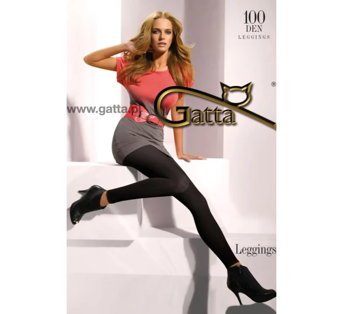 Dámské legíny - mikrovlákno 100 DEN-5 Dámské legíny - mikrovlákno 100 DEN-5