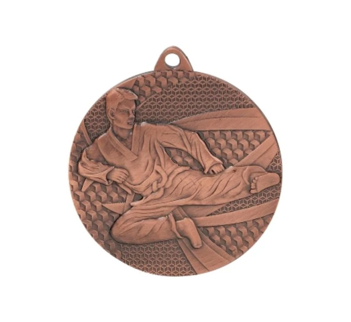 Bronzová medaile - karate - ocelová medaile