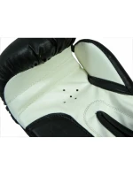 Dětské boxerské rukavice Collection Jr   model 21763826 - Masters