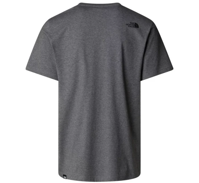 M SS Easy Tee model 21387497 Grey L - The North Face
