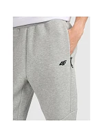 Pánské tepláky typu jogger model 22073478 - 4F